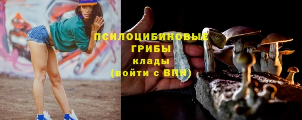 ПСИЛОЦИБИНОВЫЕ ГРИБЫ Алексин