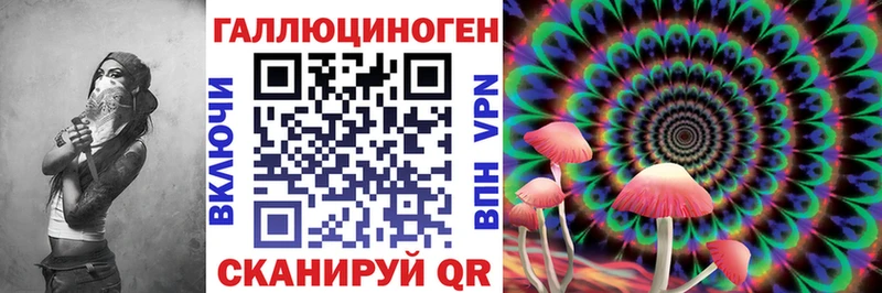 Псилоцибиновые грибы Psilocybe  купить   Ишим 